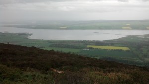 IMG_20140518_152912_142